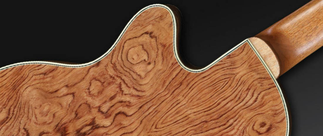 Warwick Alien Deluxe 6-String Acoustic Bass - Johnny Cox Music